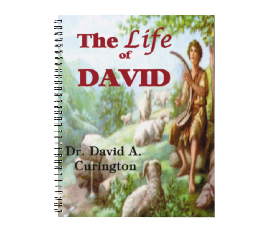 THE LIFE OF DAVID (ADULT/TEEN)