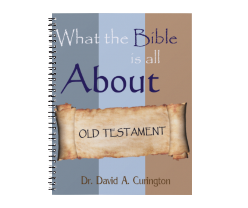 WHAT THE BIBLE IS ALL ABOUT - OLD TESTAMENT & NEW TESTAMENT (ADULT/CHILDREN COMPLETE SET)