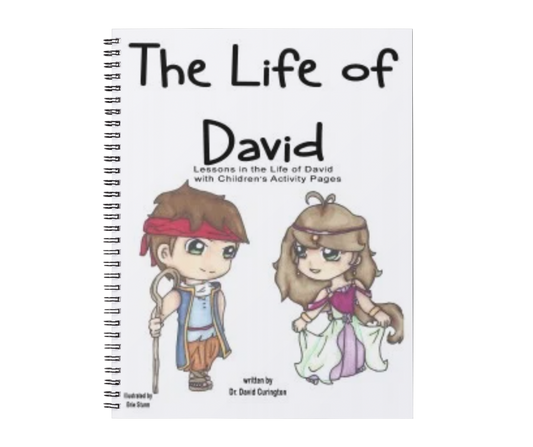 THE LIFE OF DAVID (CHILDREN'S SET)